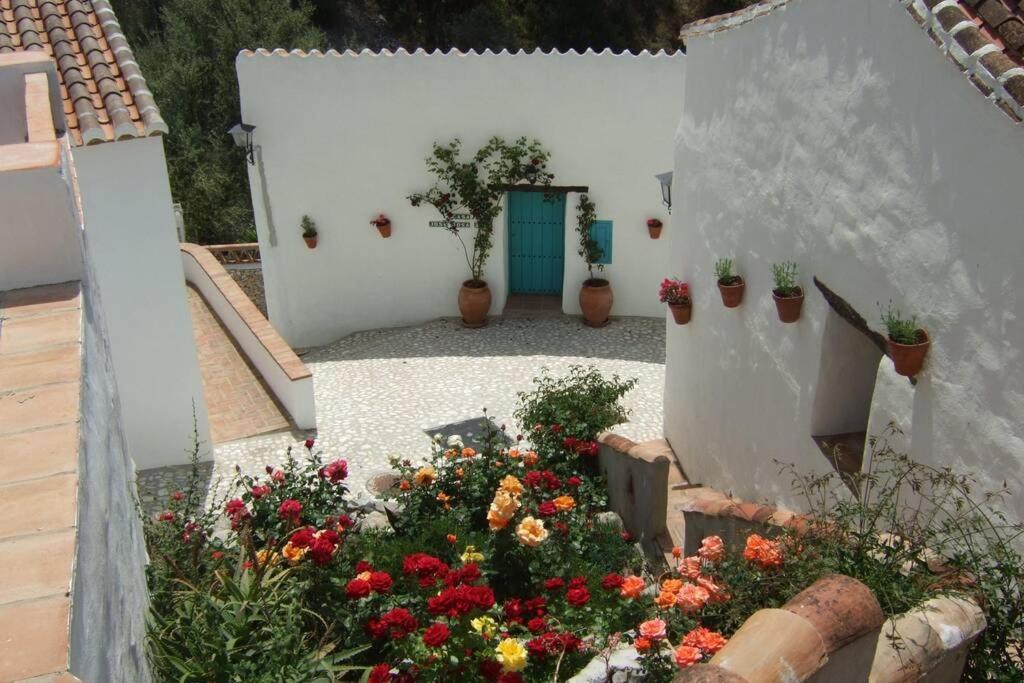 Casa Rosa, Con Encanto Y Piscina Climatizada Frigiliana Exterior foto
