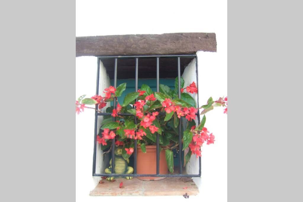 Casa Rosa, Con Encanto Y Piscina Climatizada Frigiliana Exterior foto